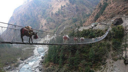 Ghasa là một  cây cầu đi bộ nguy hiểm nằm chót vót nối hai quả núi ở làng Gus, Nepal. Nhiều gia súc và người dân địa phương hàng ngày qua lại nơi này.